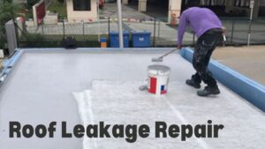 Roof Leakage Repair