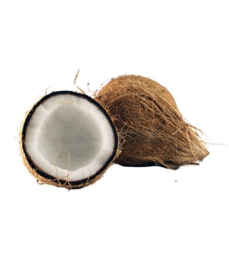 Coconut - नारिकेलः (Narikelaḥ) - नारियल