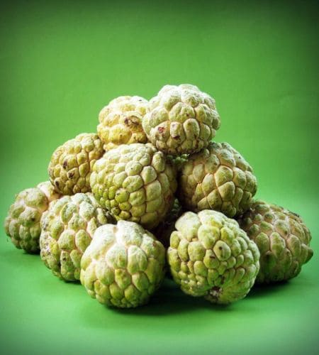 Custard Apple - शरीफा (Śarīphā)) - सीताफल