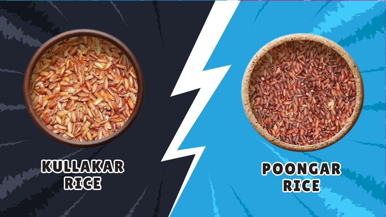 Difference Between Kullakar Rice and Poongar Rice