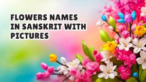 Flowers Names in Sanskrit with Pictures