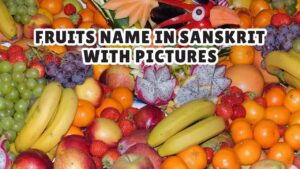 Fruits Name in Sanskrit with Pictures