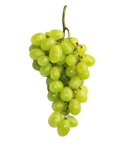 Grapes - द्राक्षाफलम् (Drākṣāphalam) - अंगूर