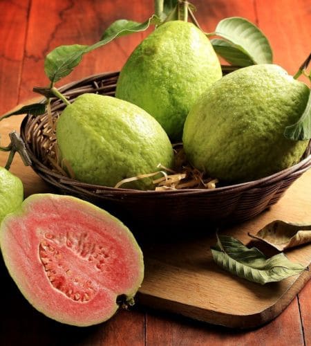 Guava - आग्रलम् (Aagralam) - अमरूद