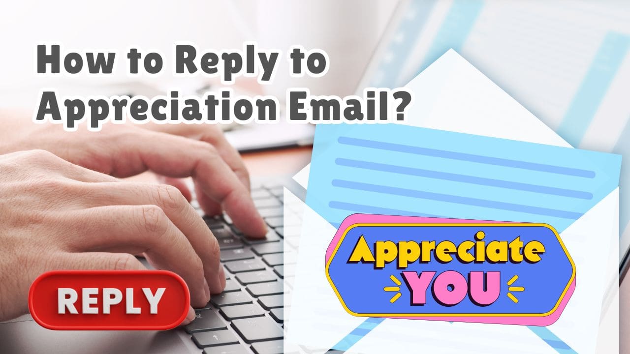 How to Reply to Appreciation Email