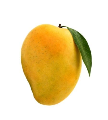 Mango - आम्रम् (Āmram) - आम