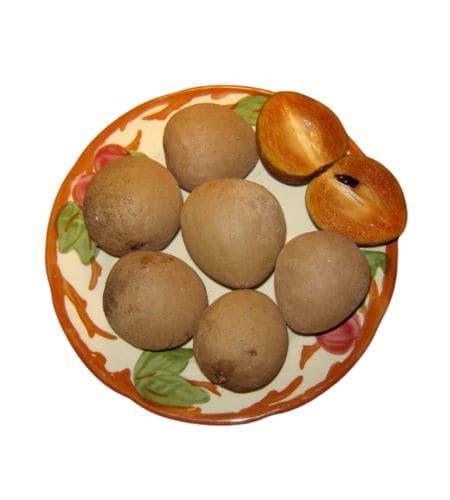 Naseberry Sapodilla - चीकू (Chīkū) - चीकू