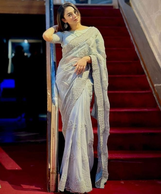 Net Organza Saree for Farewell 3