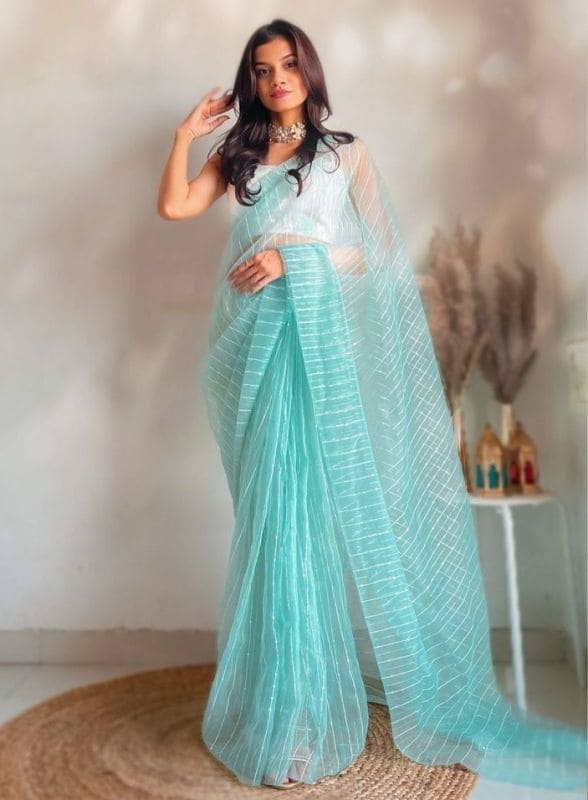 Net Organza Saree for Farewell 4