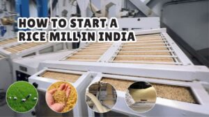 Rice Mill Business​ Starting a Rice Mill in India