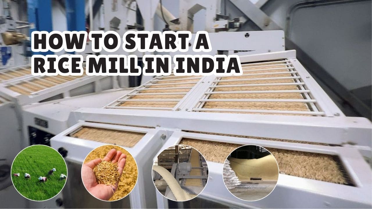 Rice Mill Business​ Starting a Rice Mill in India