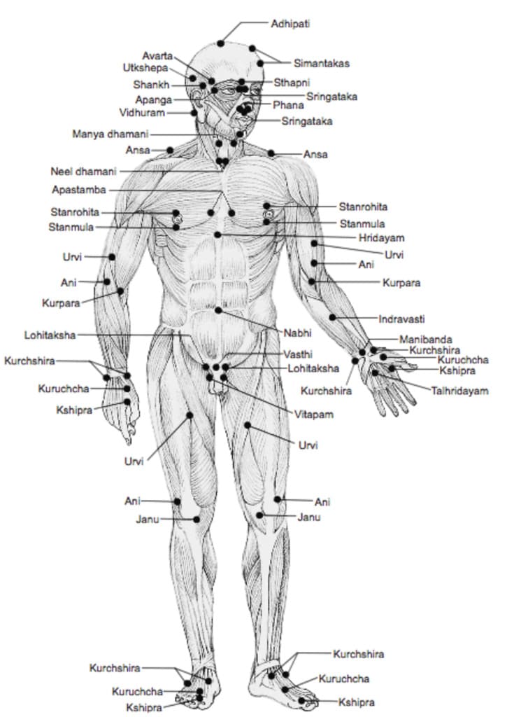 Varma Kalai Varmams Varma Kalai pressure points​