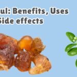 What is Guggul Benefits, Uses and Side effects