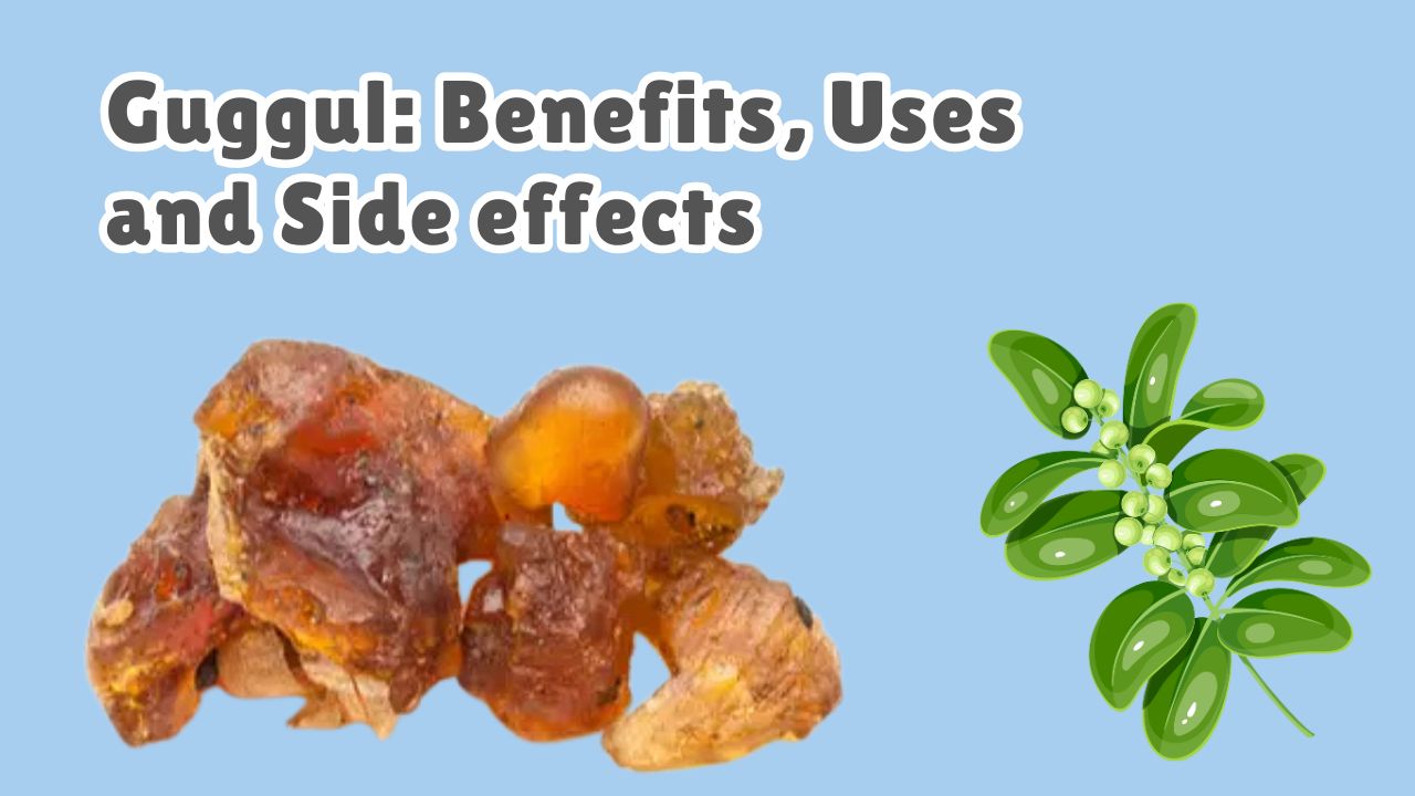 What is Guggul Benefits, Uses and Side effects