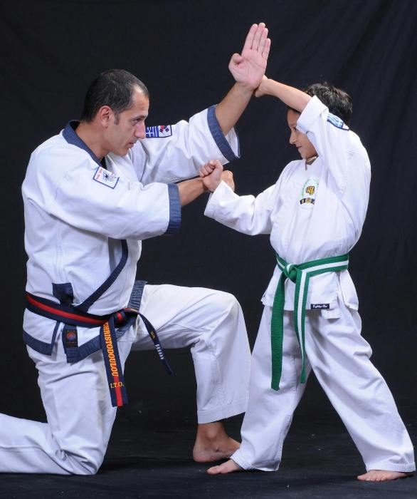 Belt Ranking Systems in Different Karate Styles