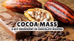 Cocoa Mass​ A Key Ingredient in Chocolate Making