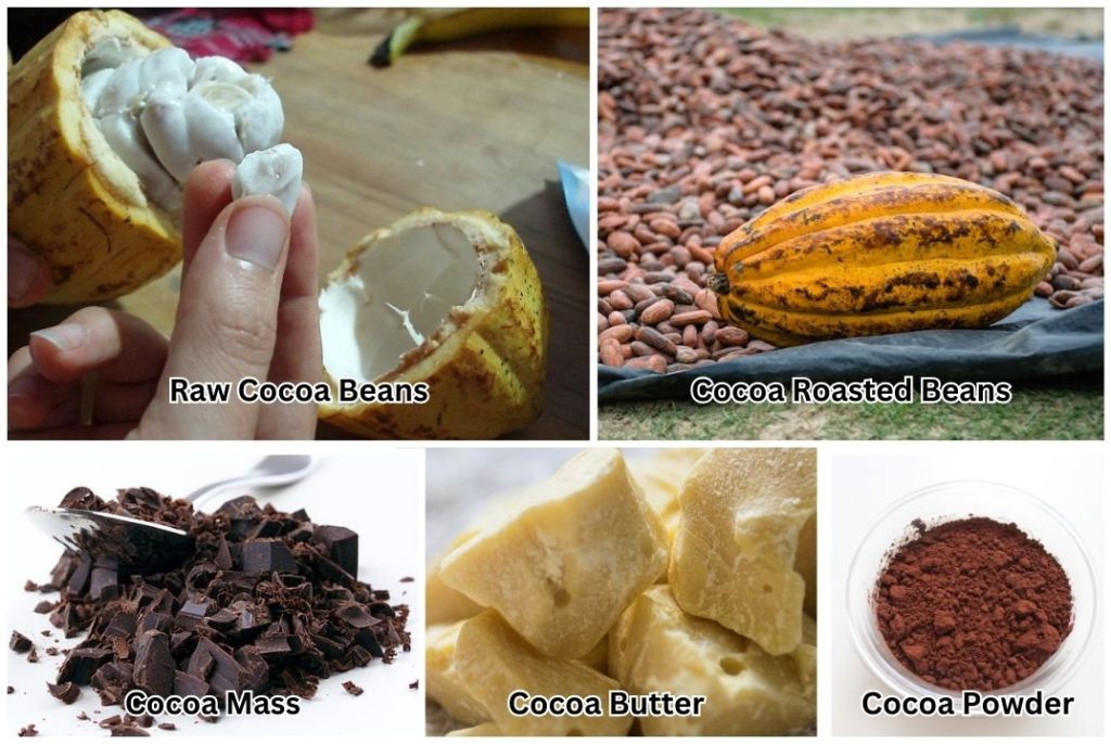 Cocoa mass and other Cocoa products