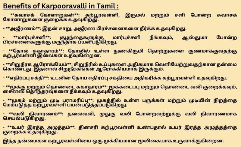 Karpooravalli Benefits in Tamil​