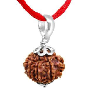 7 Mukhi Nepali Rudraksha